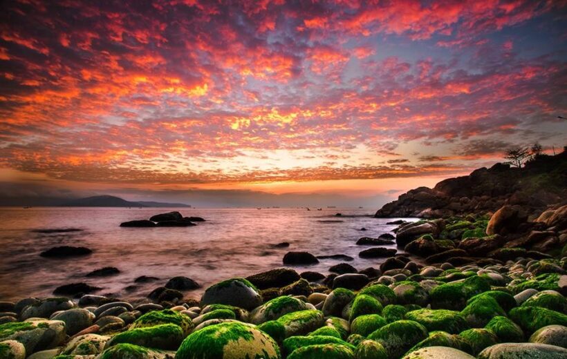 TOUR HA NOI - PHU YEN  - QUY NHON 5 DAYS 4 NIGHTS