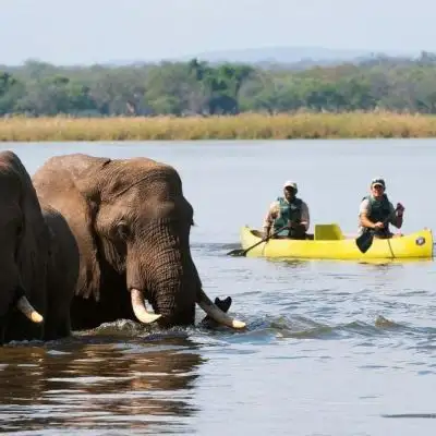 Ethical Travel Specialist shares how travel agents can be more aware of what is planet-conscious