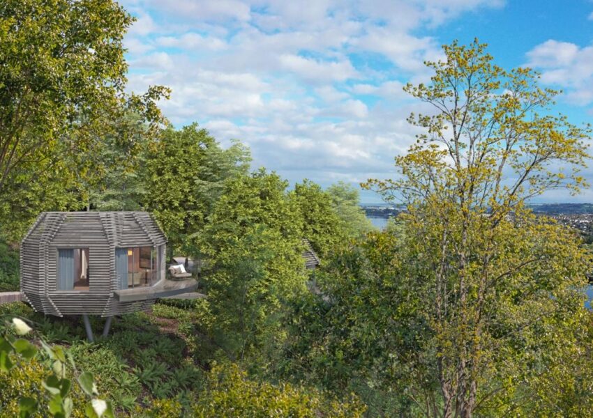 The Montenotte in Cork unveils The Woodland Suite Experience 