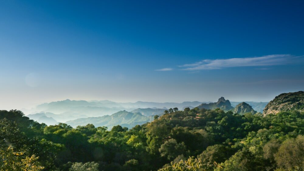 Pachmarhi: The UNESCO Biosphere Reserve