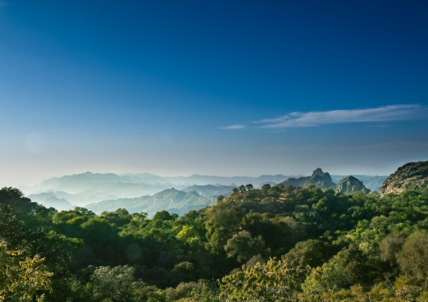 Pachmarhi: The UNESCO Biosphere Reserve