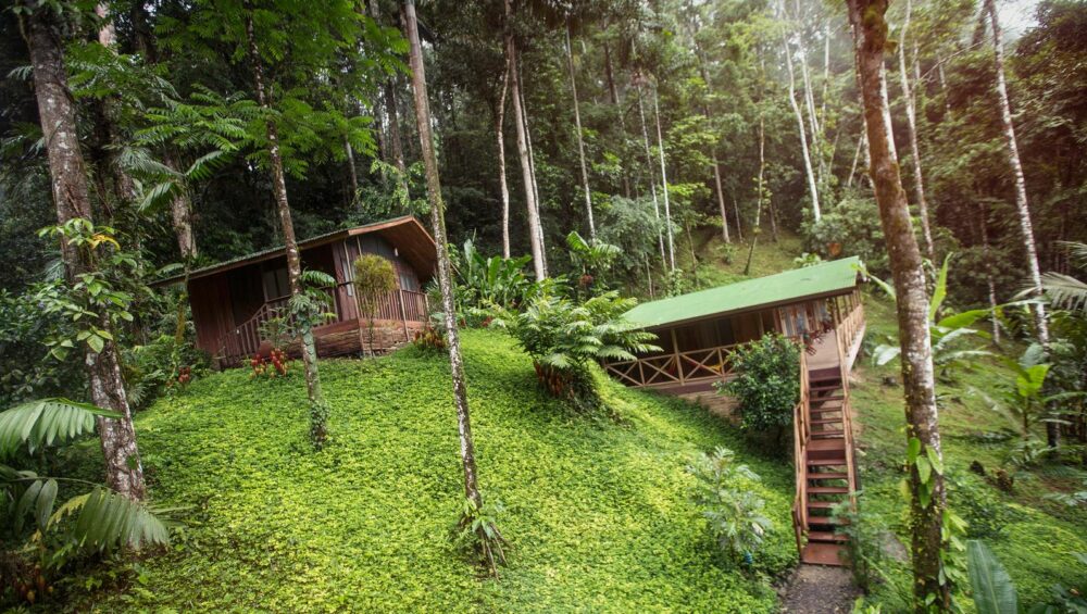 Spring into adventure and save big with G Adventures' April sale