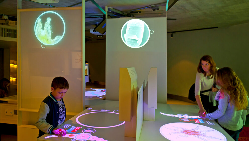 The best European cities for a fun and educational science trip