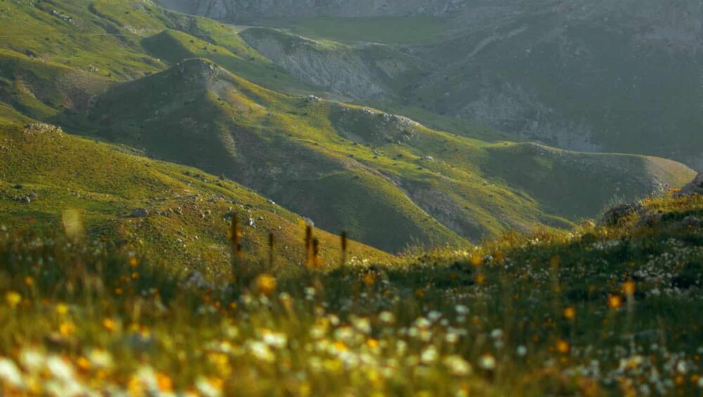 Algeria