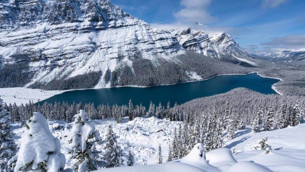 Travelling In Canada Peyto Lake 1024x767