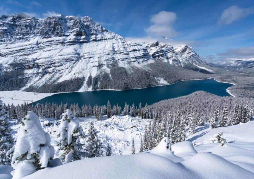 Travelling In Canada Peyto Lake 1024x767